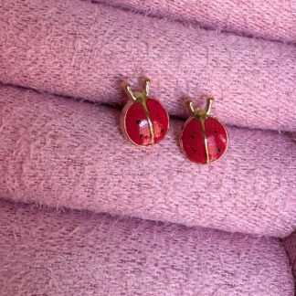 Brinco Infantil Joaninha